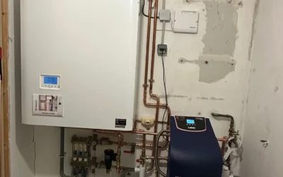 Remplacement d’une chaudière Frisquet et pose d’un adoucisseur BWT à Divonne-les-Bains